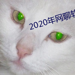 2020年網聊軟件