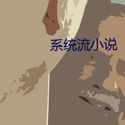 系統流小說