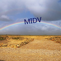 MIDV （暂时代庖）