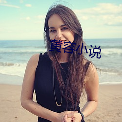 黄容(容)小说