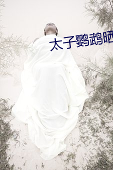 鸿运国际·(中国)会员登录入口