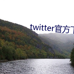 twitter官方(fāng)下(xià)载中文版