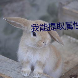 我能提取属性漫画