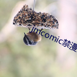 jmcomic禁漫天堂(堂)官(官)网(網)入(入)口