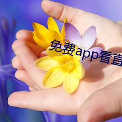 免费app看直(直)播