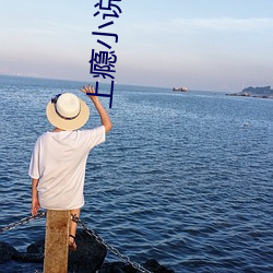 上瘾小说