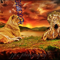 七次(cì)郎拍客在线(xiàn)