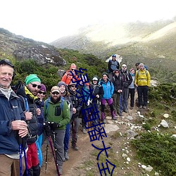 绿茶(chá)直播大全