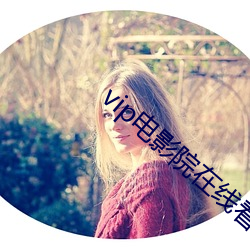 vip电影院在线看