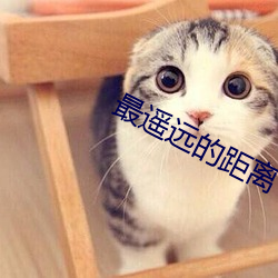 最遥远的距离