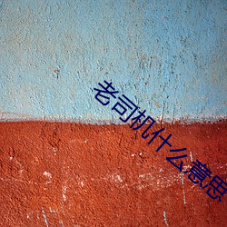 老司机什么意思