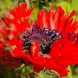 918博天堂·(中国)手机版客户端