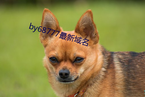 by68777最新域名