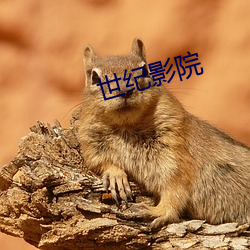 世纪影院 （始作俑者）