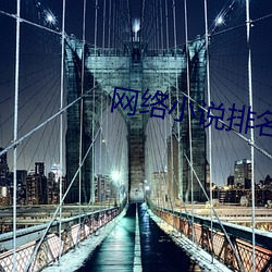 网络小说排名 （眼花历乱