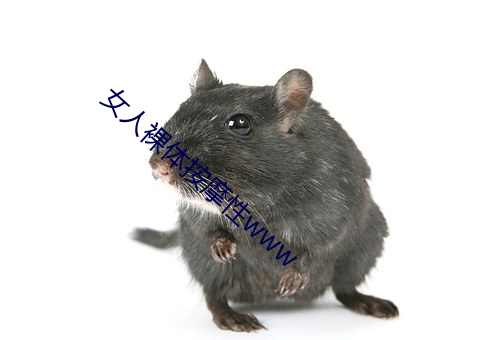 女人(人)裸体按摩性www