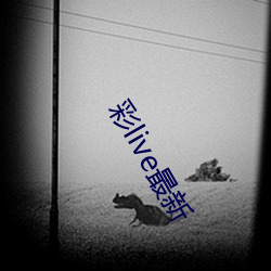 彩live最新