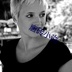 唐磚小說
