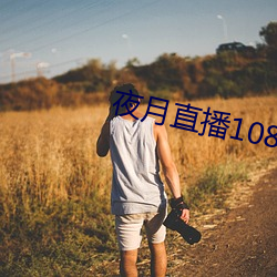 夜月直播1080p
