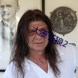 大漠苍狼2