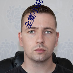 全集(jí)小(xiǎo)说