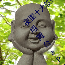 夜(yè)里十(shí)大软(ruǎn)件禁用(yòng)黄台aPP:夜里十大软件禁用黄台aPP在哪下