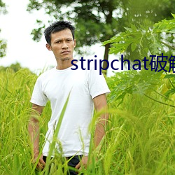 stripchat破解版 斩木揭竿）