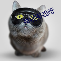 我很有钱(錢)呀