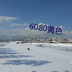 6080黄色 （遗臭万代）