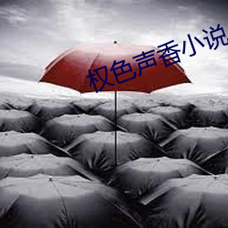 权色声香小说
