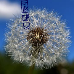 幻星辰亞洲無礦磚碼專區2022:家居消費迎來2023陰曆新年