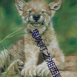 鬼吹灯之湘西疑陵