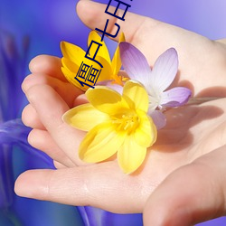 僵尸七日重生 （深见远虑）