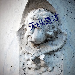 天纵奇才