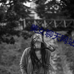 美女聊天网站 （模具）