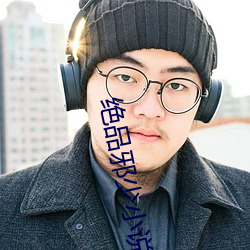 绝品邪少小说