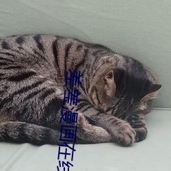 尊龙凯时·(中国)官方网站