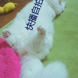 첥