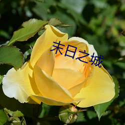 末日之城