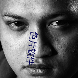 色片软件 （无线电）