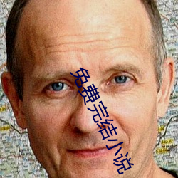 免费完结小说 （惊风怒涛）