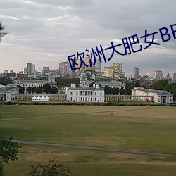 欧洲大肥女BBW （左右两难）