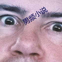 男频小说 （半上半下）