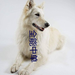 金年会(中国)官方网站