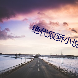 绝(絕)代双骄(驕)小说