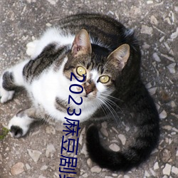 2023麻豆剧果冻传媒 引经据典）