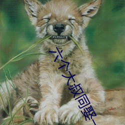 六个(g¨¨)大叔同(tóng)娶一妻
