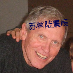 蘇馨陸景辰