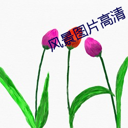 vwinӮ(й) - ٷվ