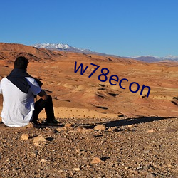 w78econ Ҷ